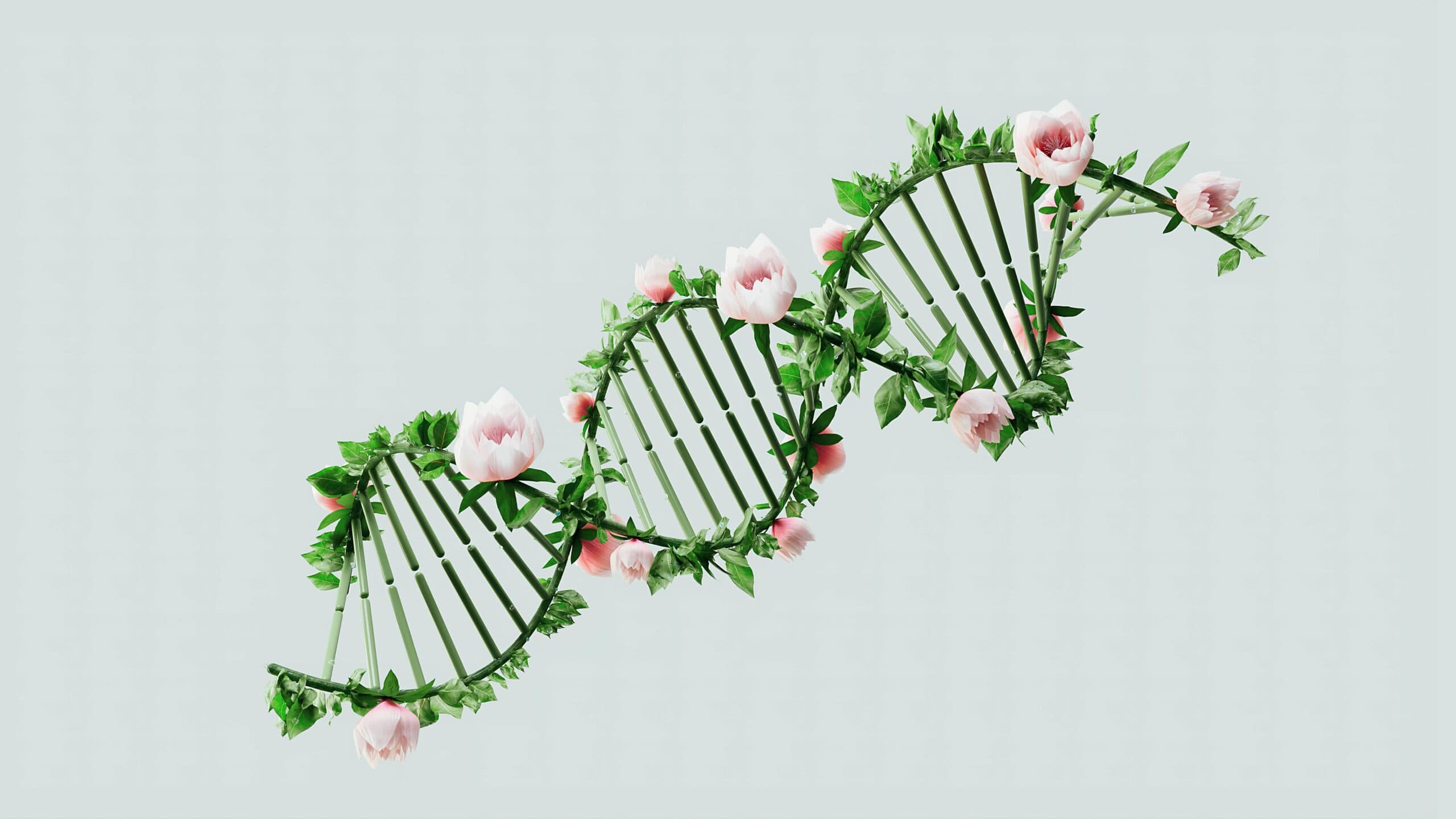 Doppia elica di DNA composta da fiori e foglie.