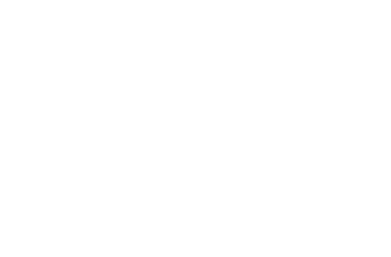 Sustainable Fashion Innovation Society